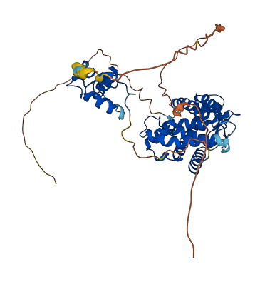 RARA 3D structure