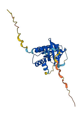 RRAS 3D structure