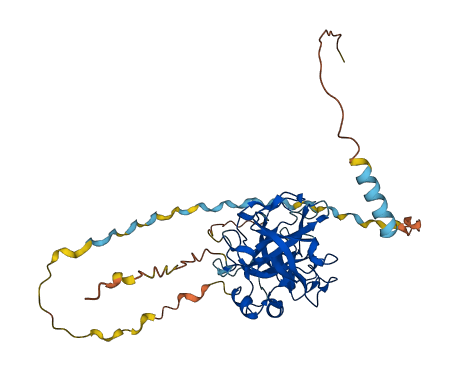 ACR 3D structure