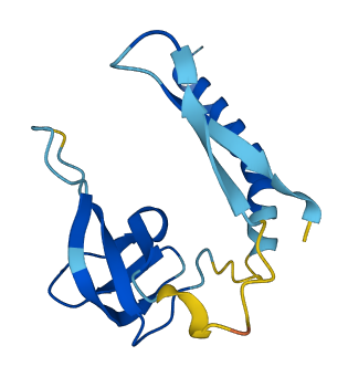 Pol 3D structure
