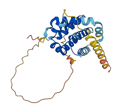 BCL2 3D structure