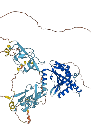 DLAT 3D structure
