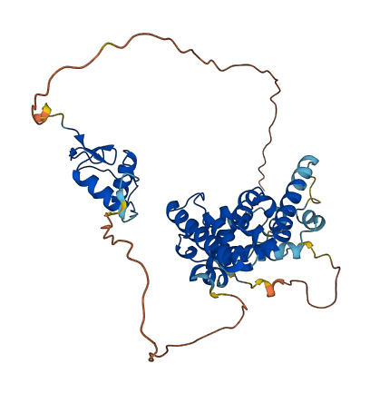 NR2F6 3D structure
