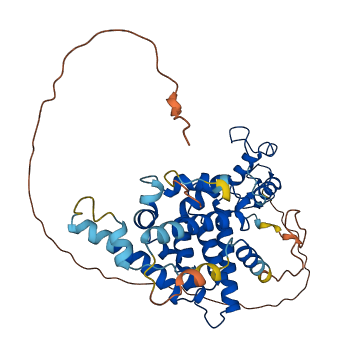 NR2F1 3D structure