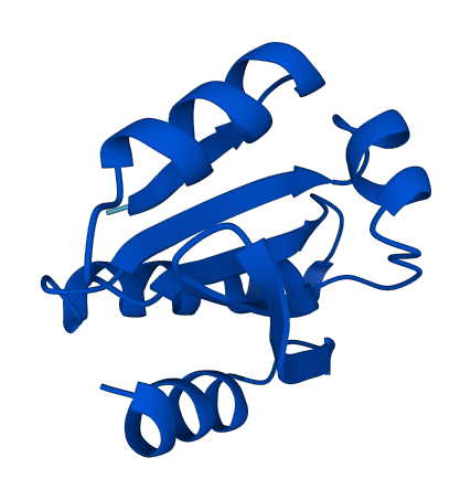 TXN 3D structure