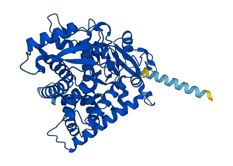 Cyp2g1 3D structure