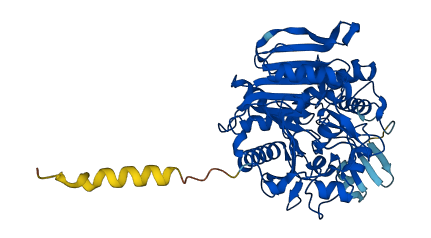 CTSA 3D structure