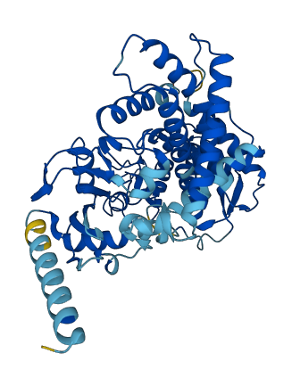 CYP2C8 3D structure