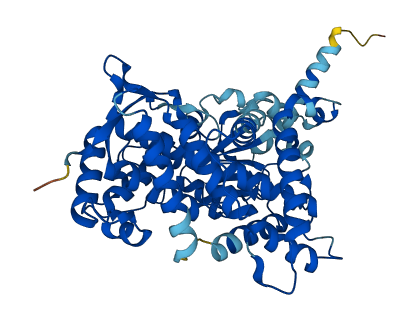 Cyp2d1 3D structure