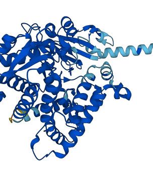 CYP2D6 3D structure