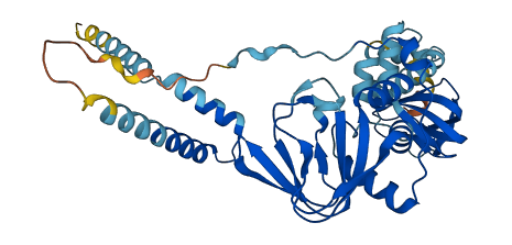 PRKAR1A 3D structure