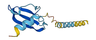 PF4V1 3D structure