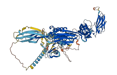 KIT 3D structure