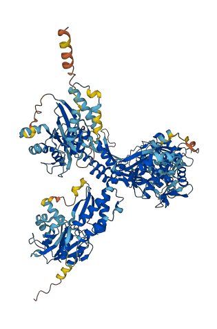 RBP3 3D structure