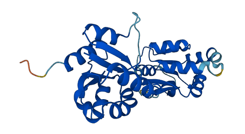 UROS 3D structure