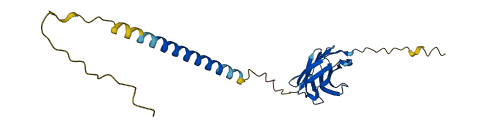 CD28 3D structure