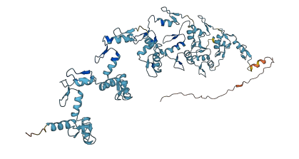 Zfp11 3D structure
