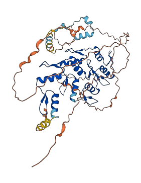Zfp13 3D structure