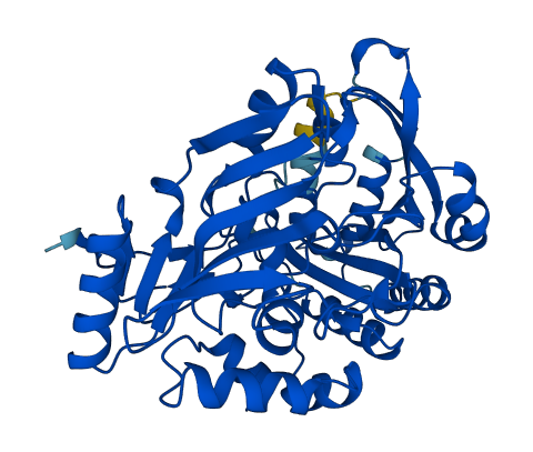 Gulo 3D structure