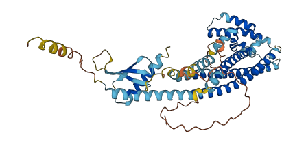 CLU 3D structure