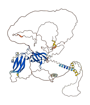 GHR 3D structure