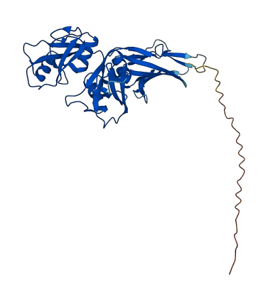 HAPLN1 3D structure