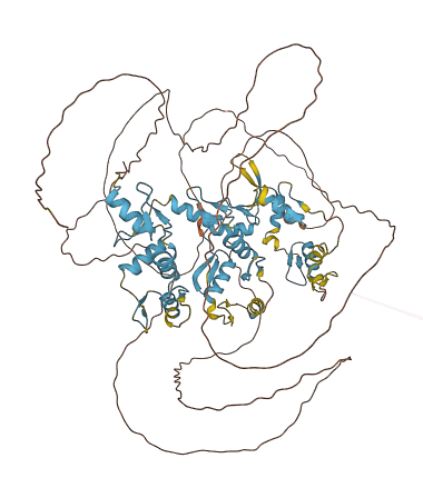 Zfy1 3D structure