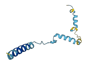 IAPP 3D structure