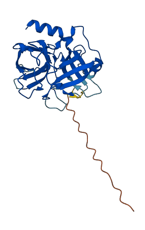 Gzmd 3D structure