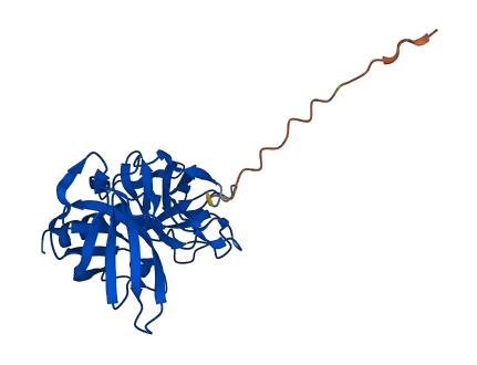 Mcpt1 3D structure
