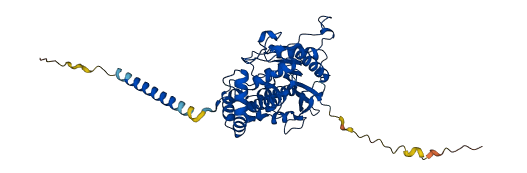 ACP2 3D structure