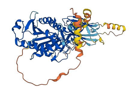 LIPC 3D structure
