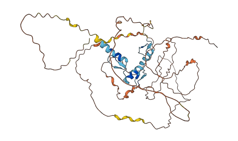 EGR2 3D structure