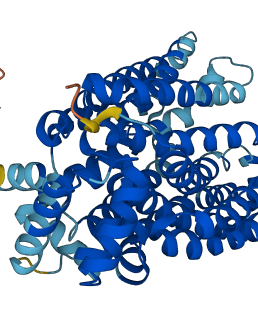 SLC2A1 3D structure
