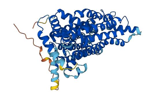 SLC2A3 3D structure