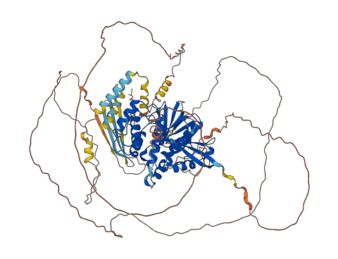 EPB41 3D structure