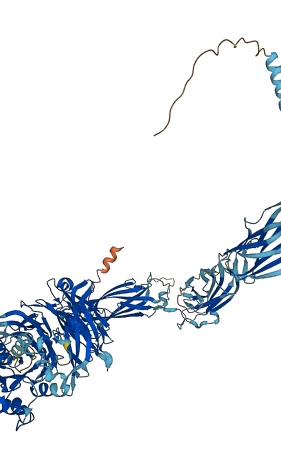 ITGAM 3D structure