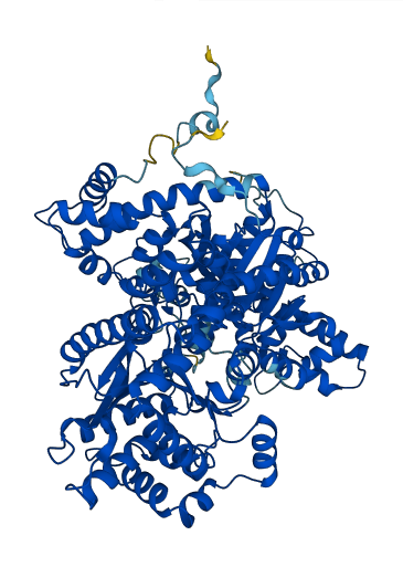 PYGB 3D structure