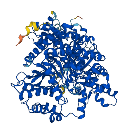 PYGM 3D structure