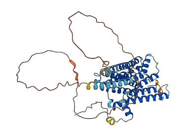 CHRM1 3D structure