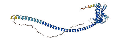 Lire1 3D structure