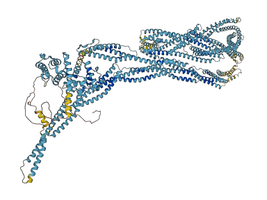 SPTB 3D structure