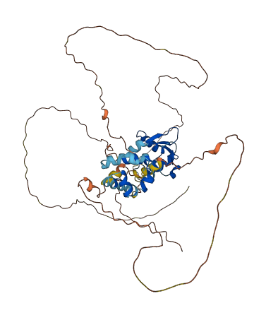 ERG 3D structure