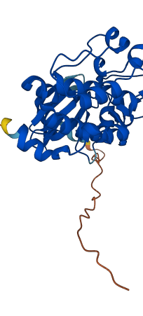 PIM1 3D structure