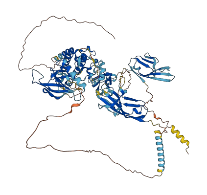 FGFR1 3D structure
