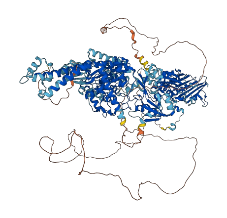 TOP2A 3D structure