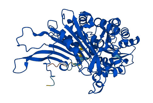 G6PD 3D structure