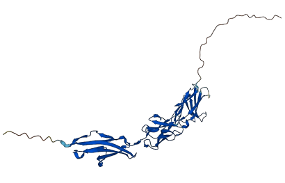 PSG2 3D structure