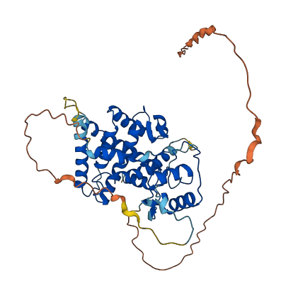 ESRRA 3D structure