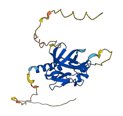 FGF3 3D structure